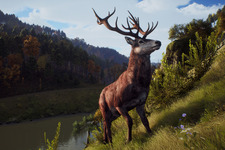 まもなく発売のオープンワールド狩猟FPS『ウェイ オブ ザ ハンター』ゲームの流れをおさらいするトレイラー公開 画像