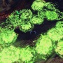 ハック&スラッシュRPG『セイクリッド3』のPV第4弾が公開、ウェポンスピリットによる爽快なアクション
